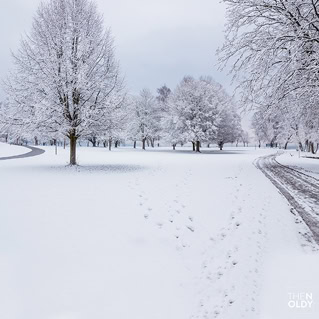 am hörnle in konstanz